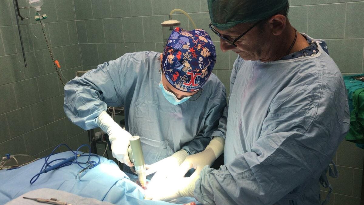 chirurgia ortopedica veterinaria